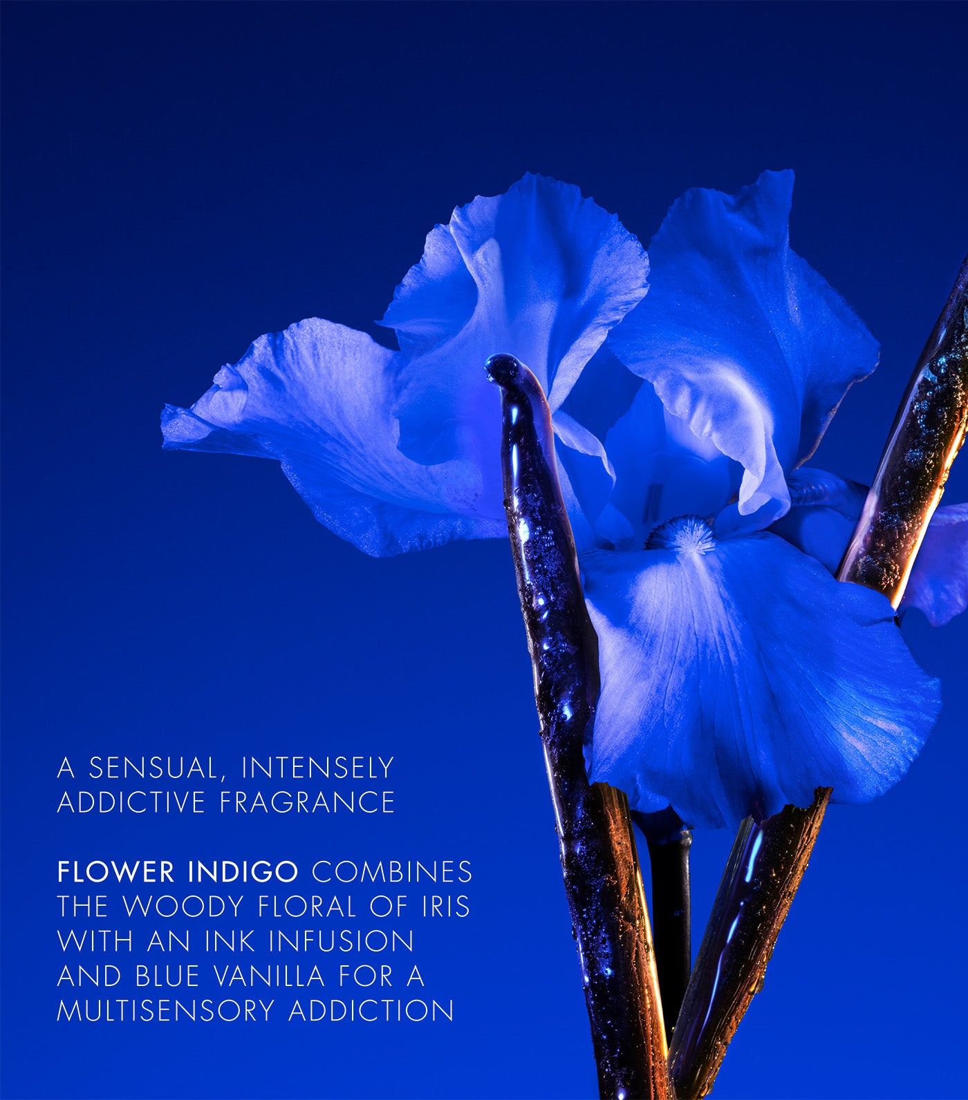 FLOWER BY KENZO Ikebana Indigo Eau de Parfum