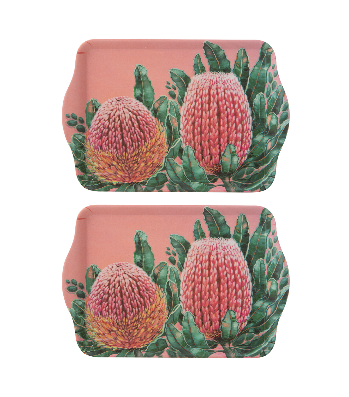 Native Flora Banksia Scatter Tray Set of 2
