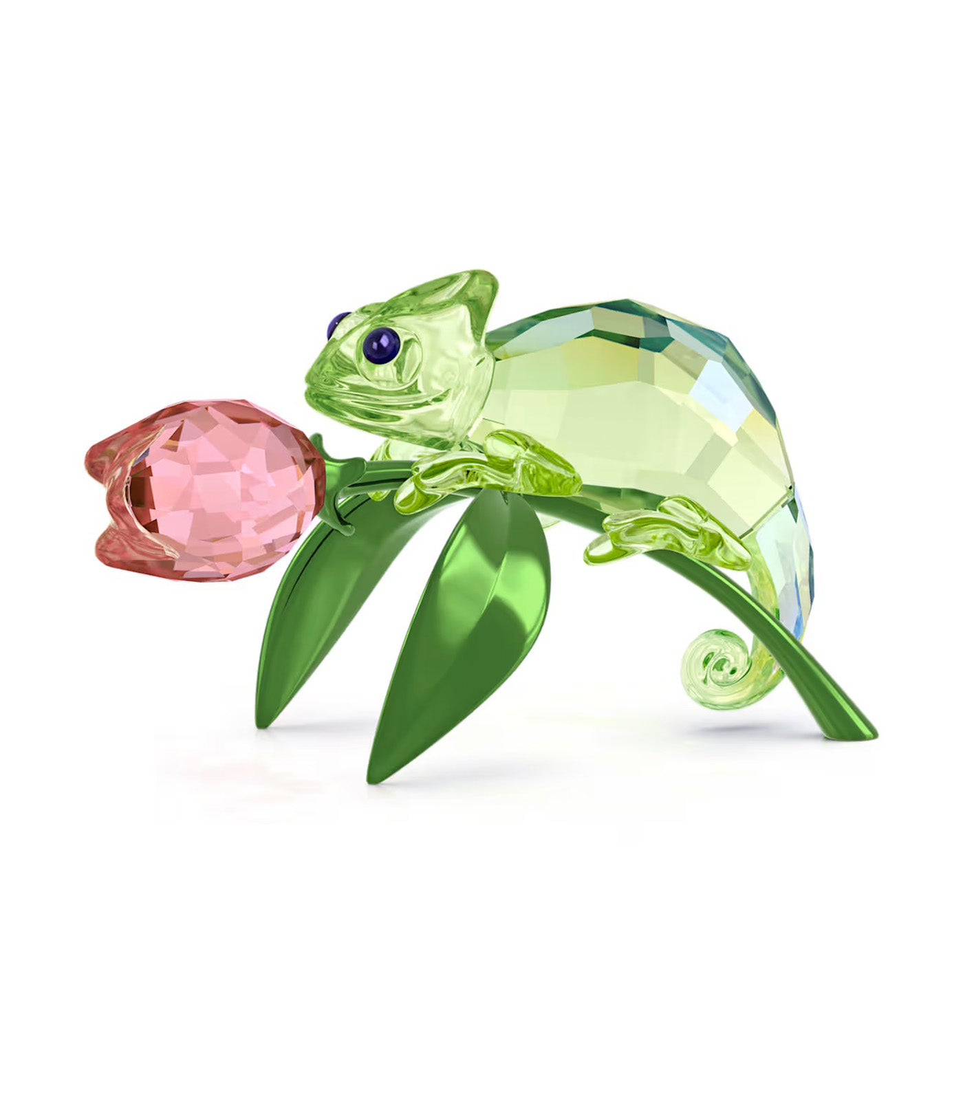Idyllia Chameleon and Tulip