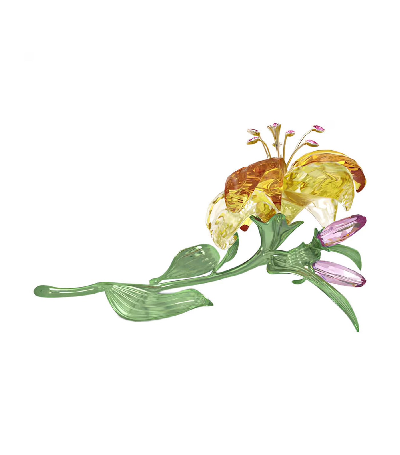 Florere Lily