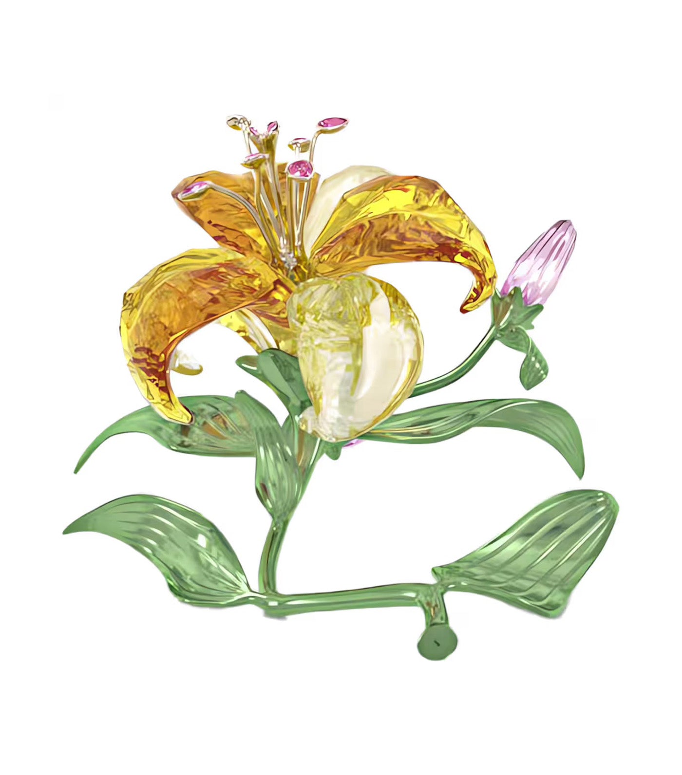 Florere Lily