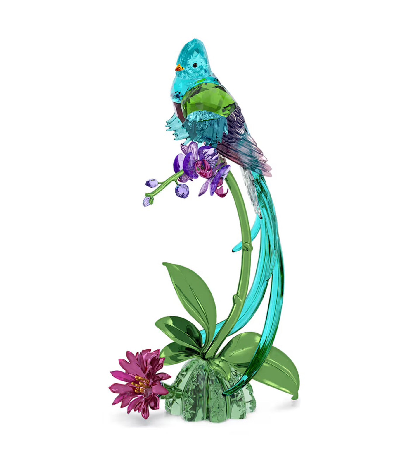 Idyllia Quetzal and Orchid