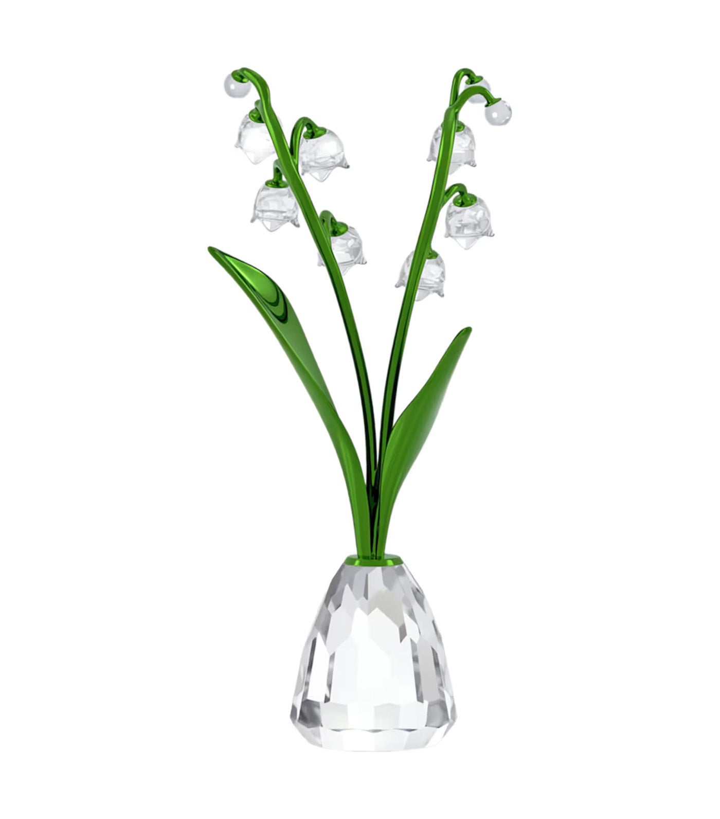 Florere Lily of the Valley