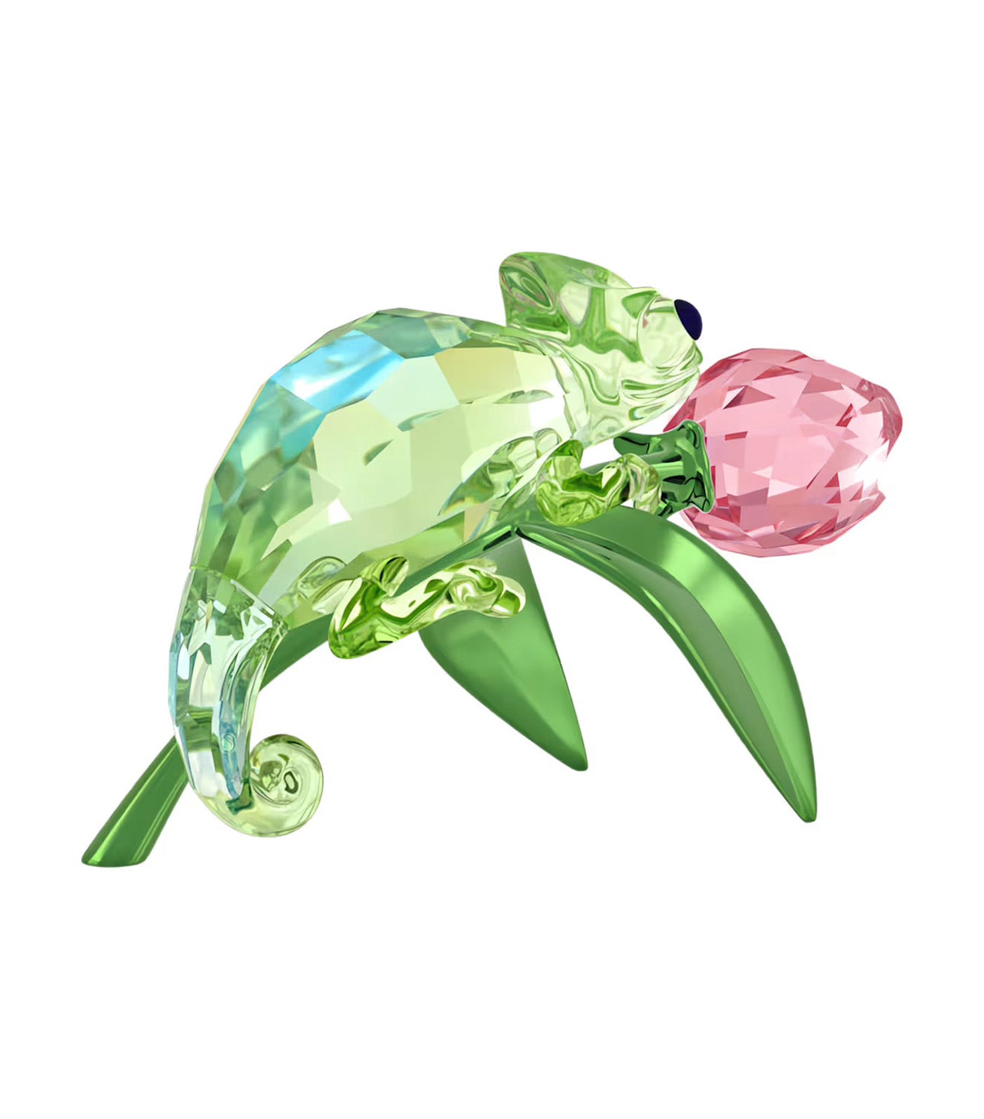Idyllia Chameleon and Tulip
