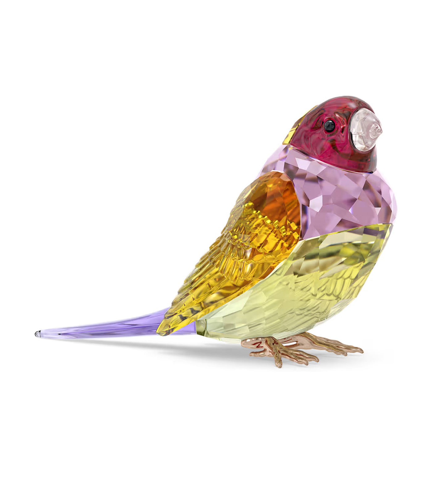 Idyllia SCS Gouldian Finch