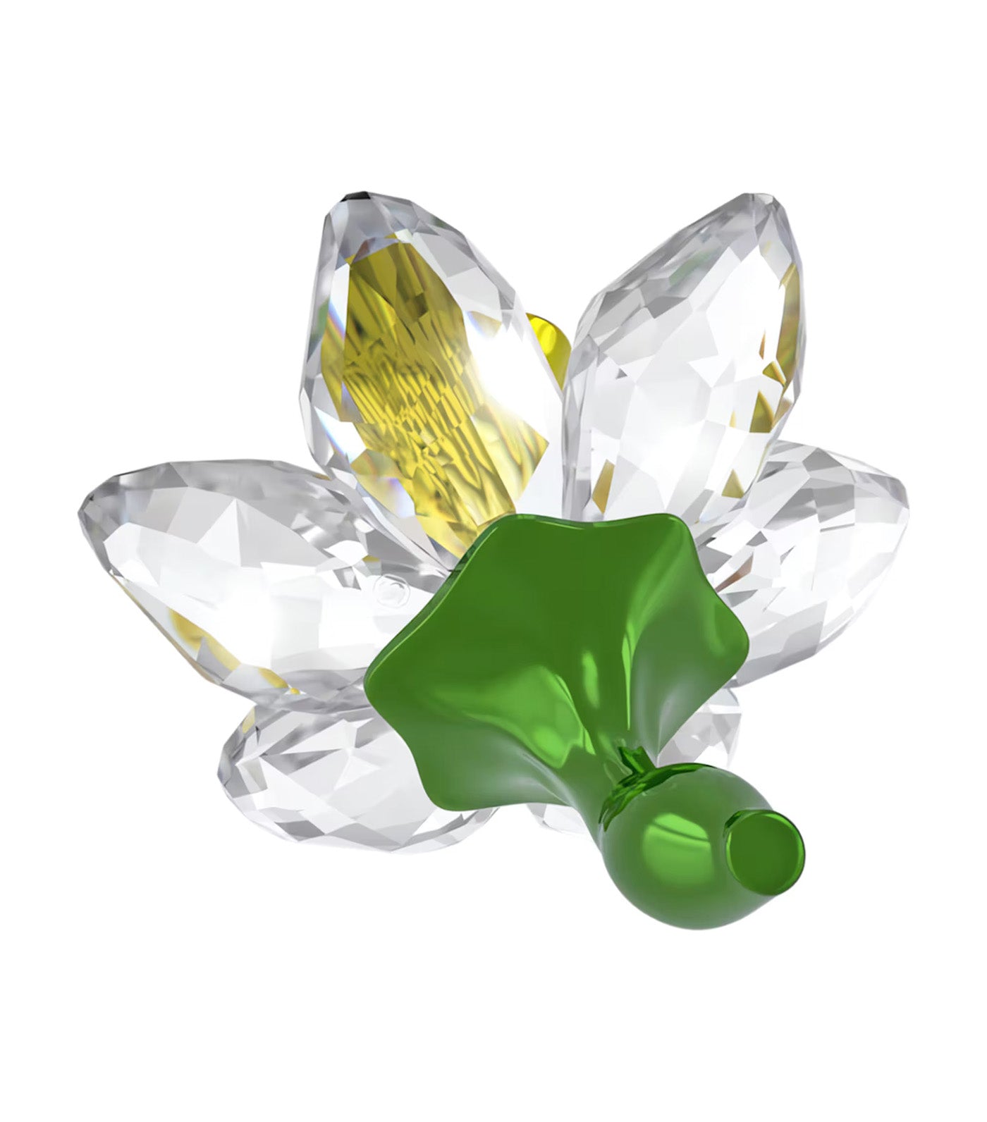 Florere Daffodil