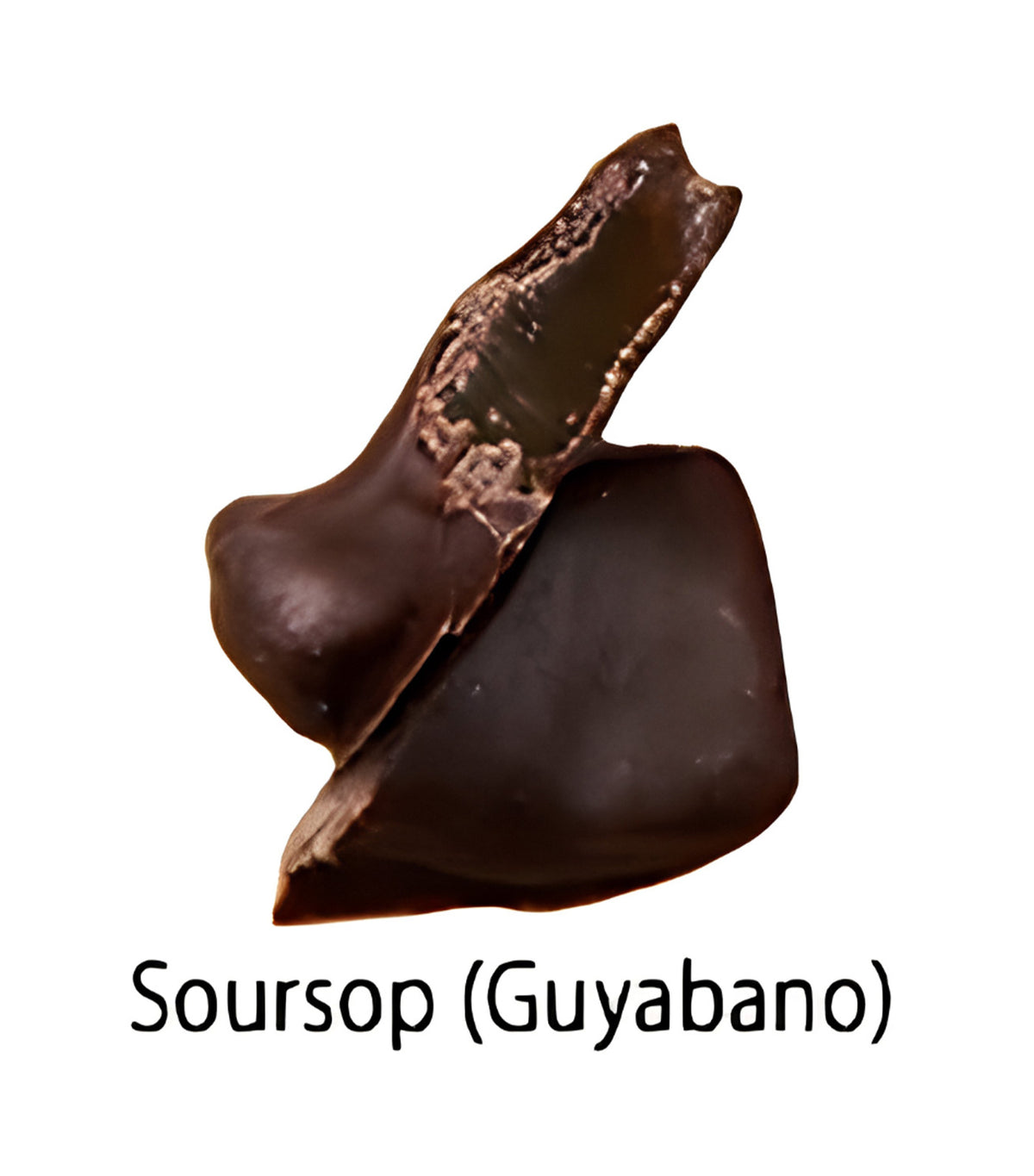Dried Young Coconut Dark Chocolate Coated, 120g