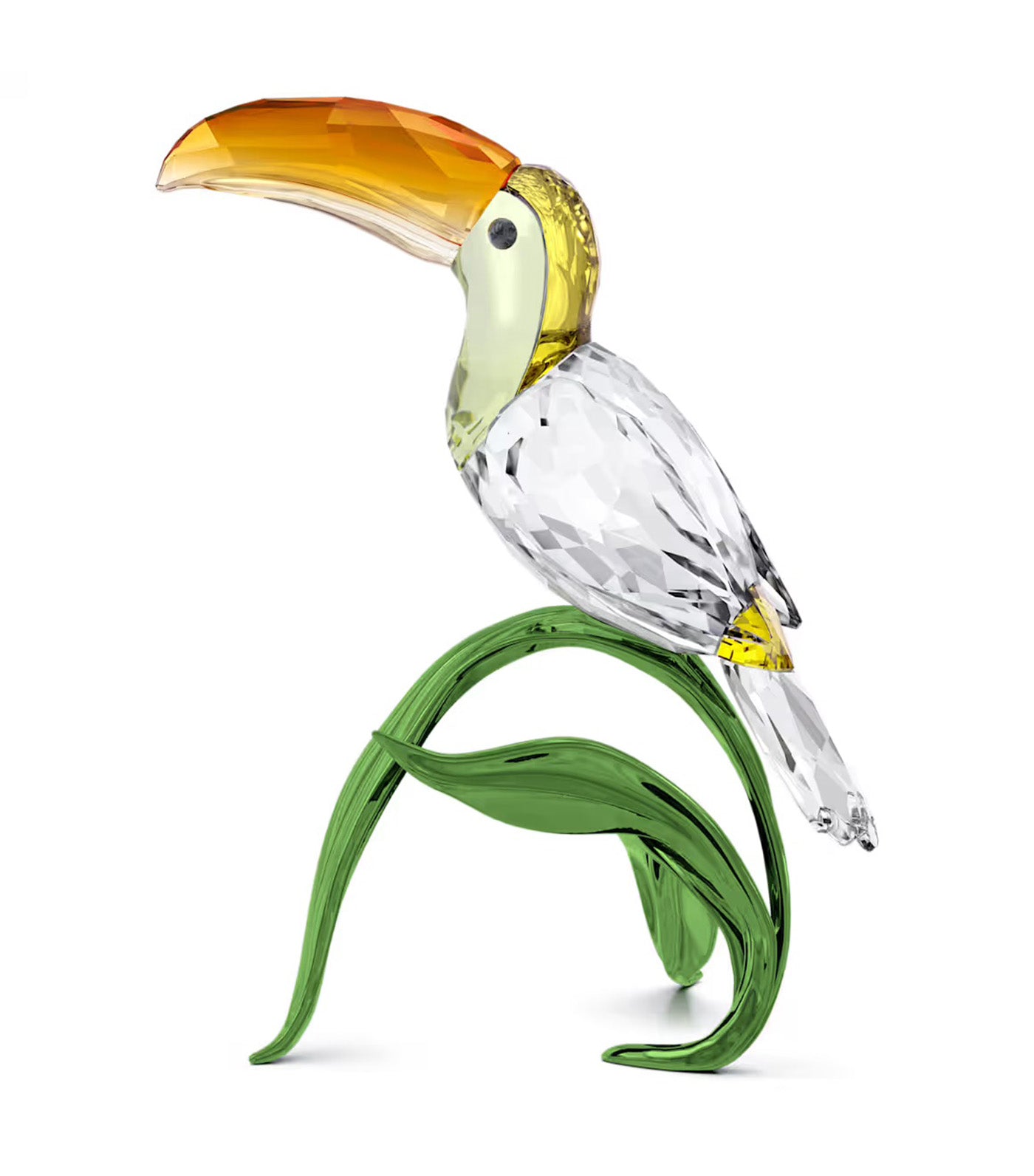 Idyllia Toucan