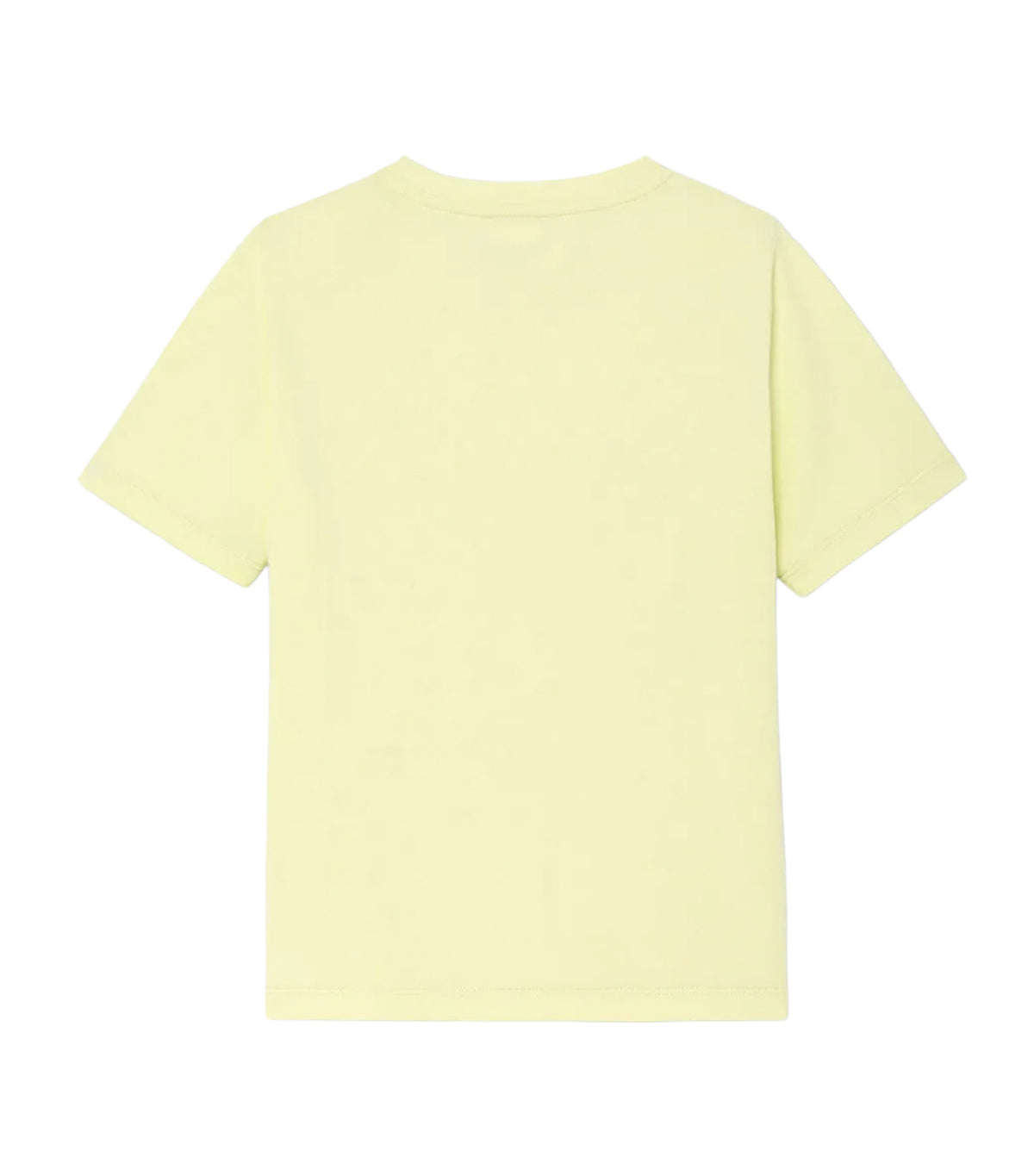 Amabilis Top Vert Anis
