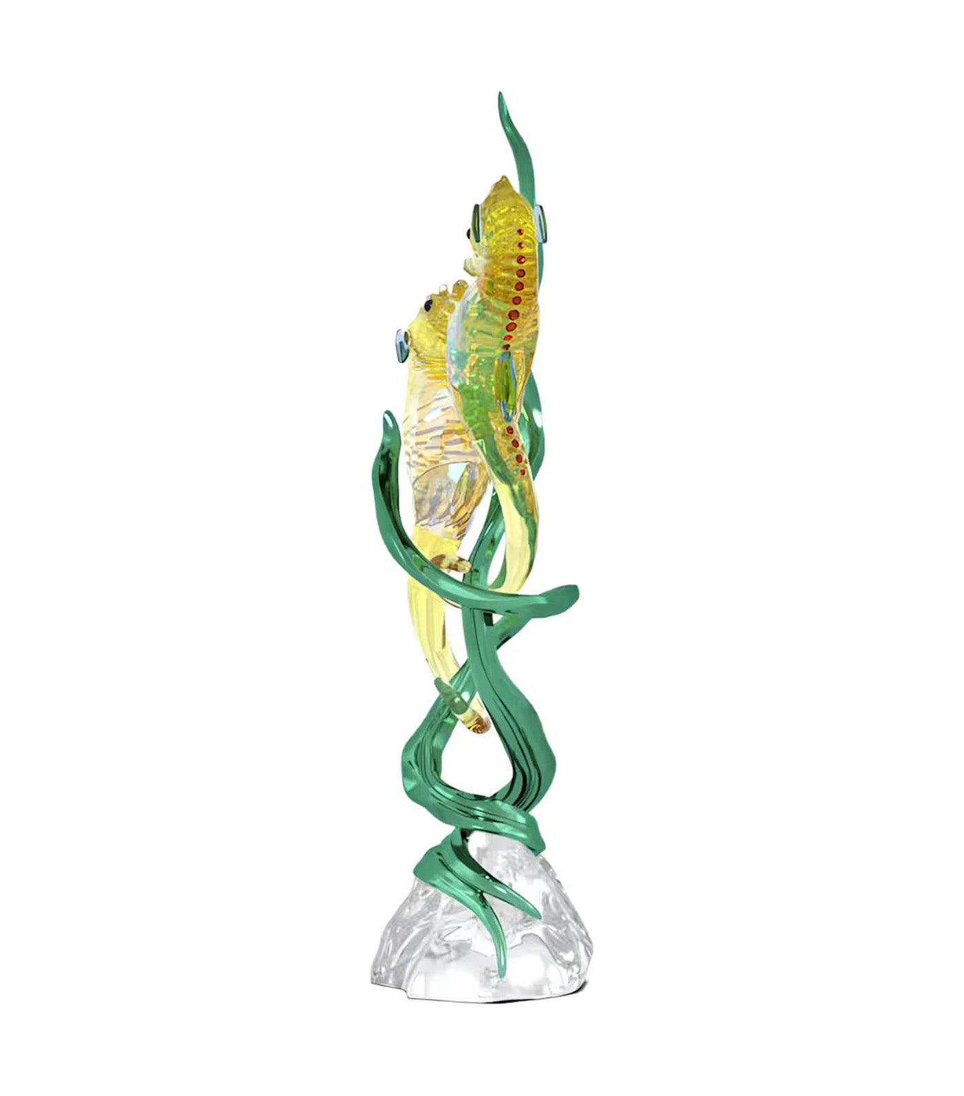 Idyllia SCS Annual Edition 2025 Seahorses