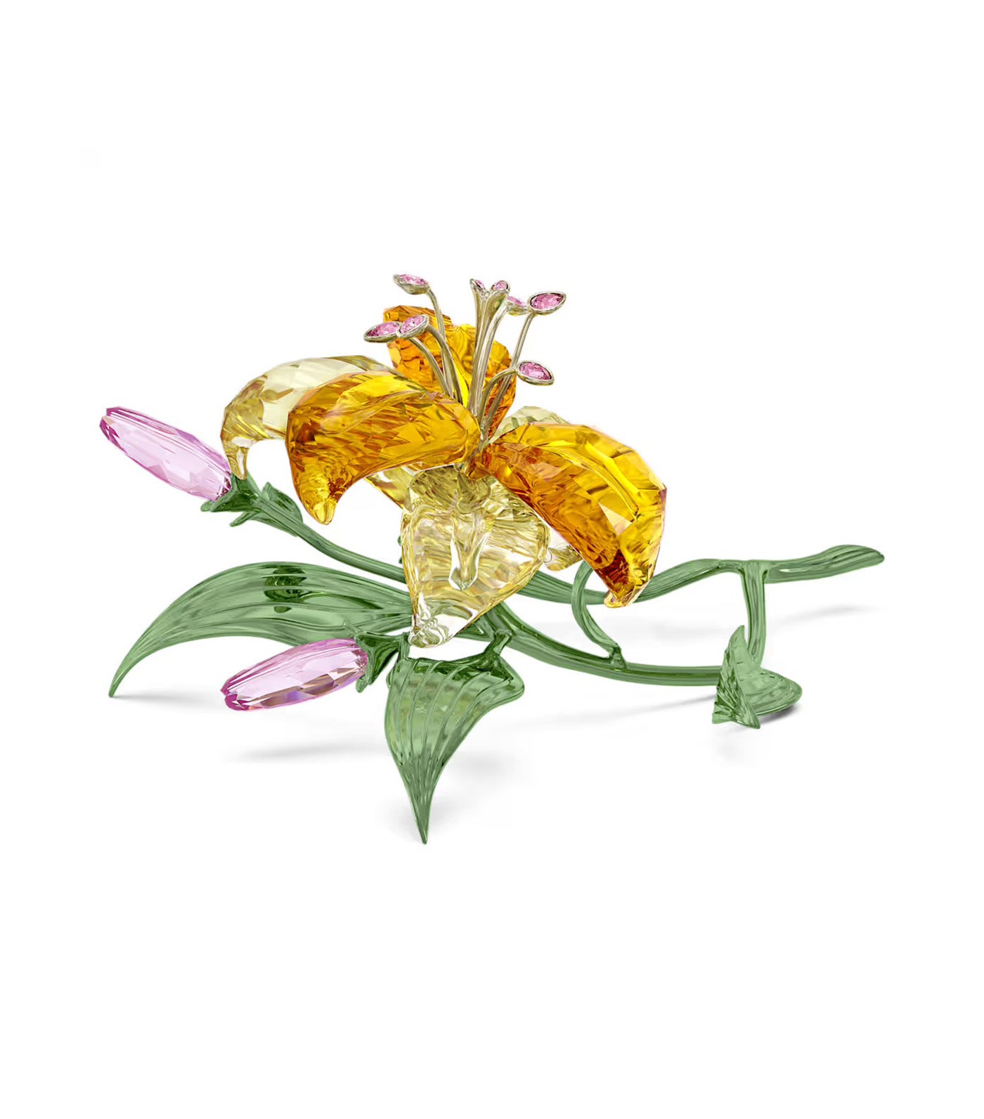 Florere Lily