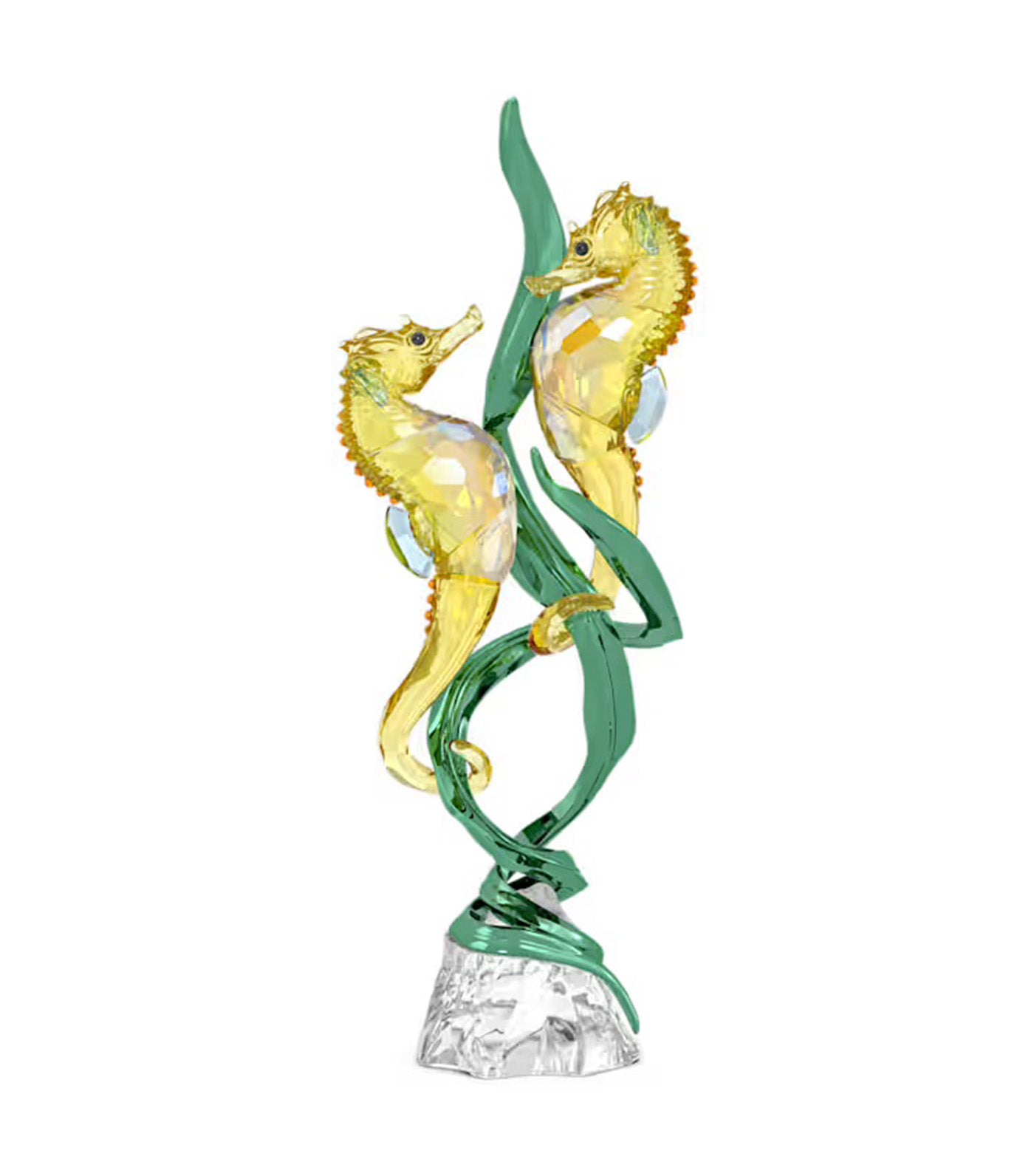 Idyllia SCS Annual Edition 2025 Seahorses
