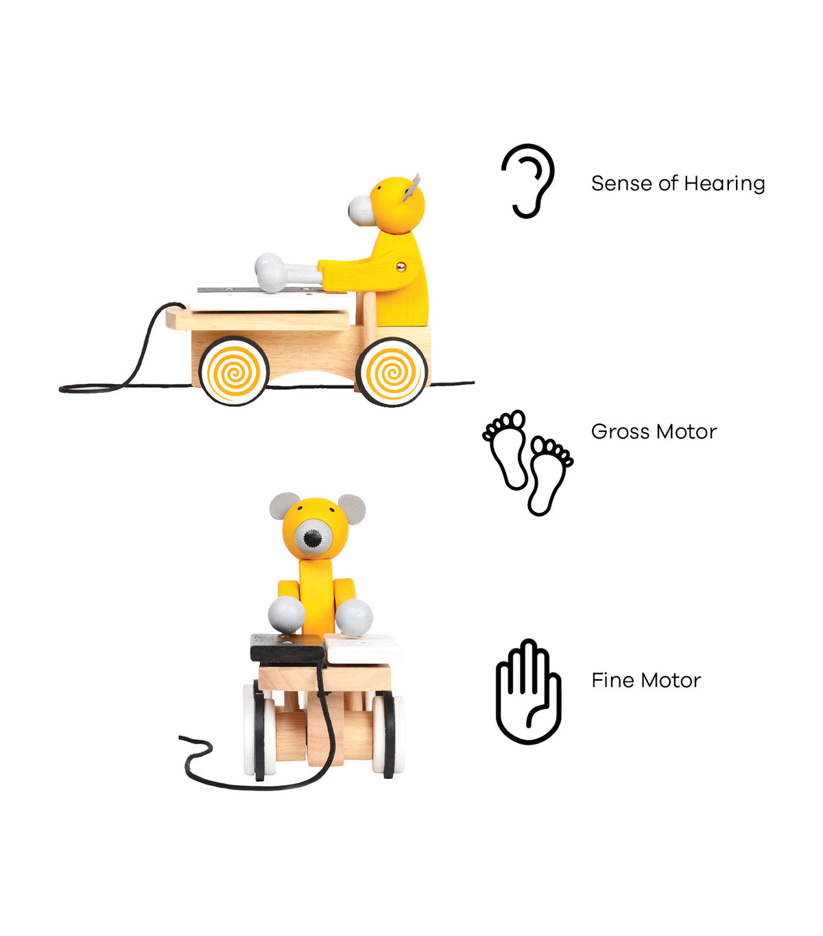 Bear Xylophone