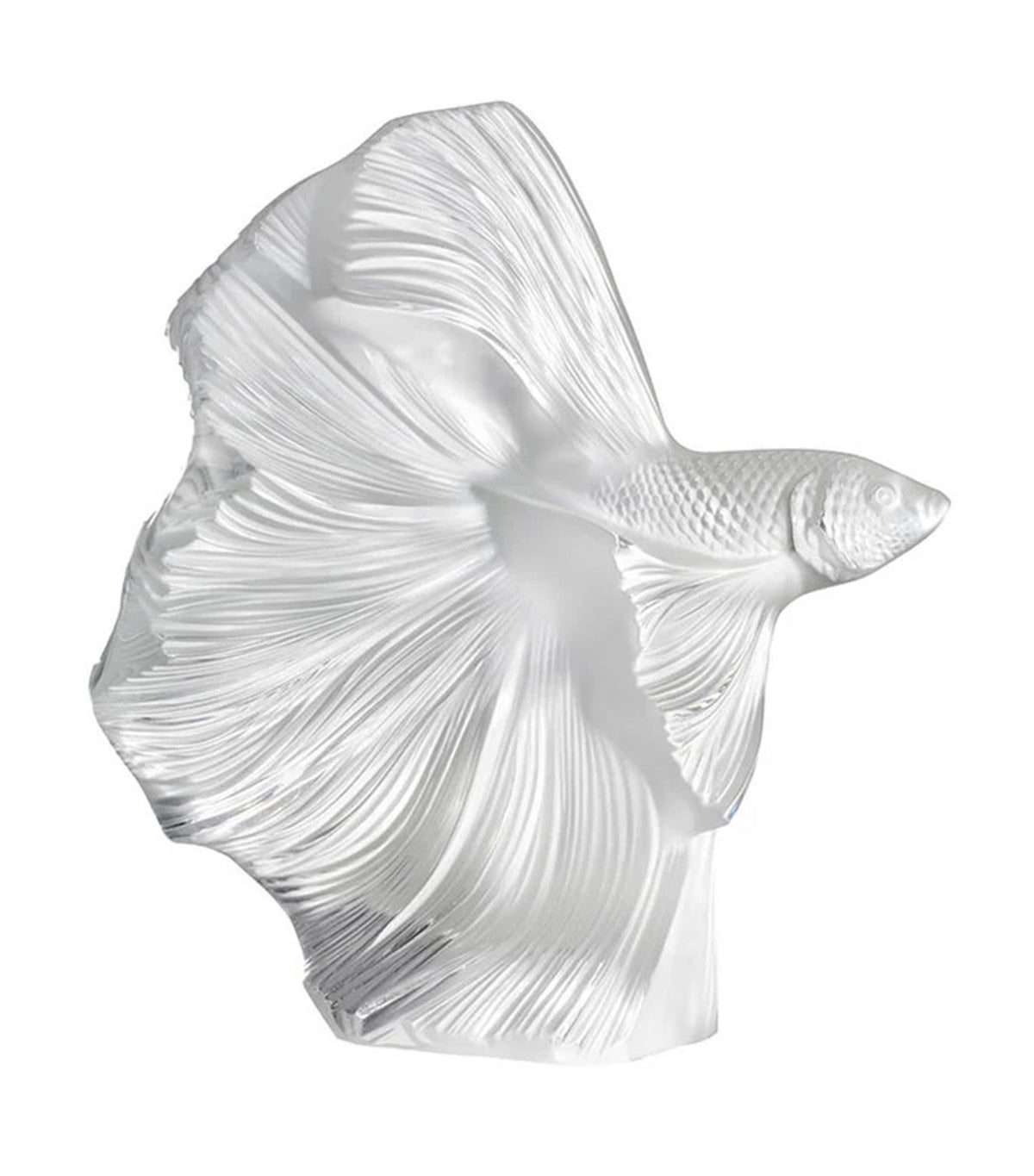 Fighting Fish Large Clear