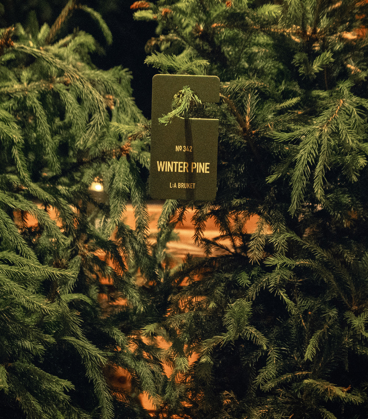 342 Fragrance Tag Winter Pine