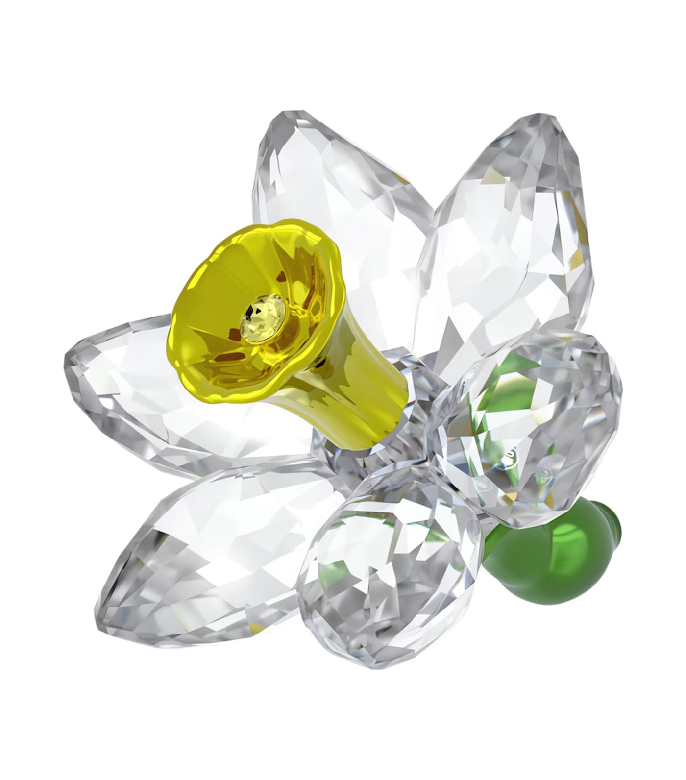 Florere Daffodil