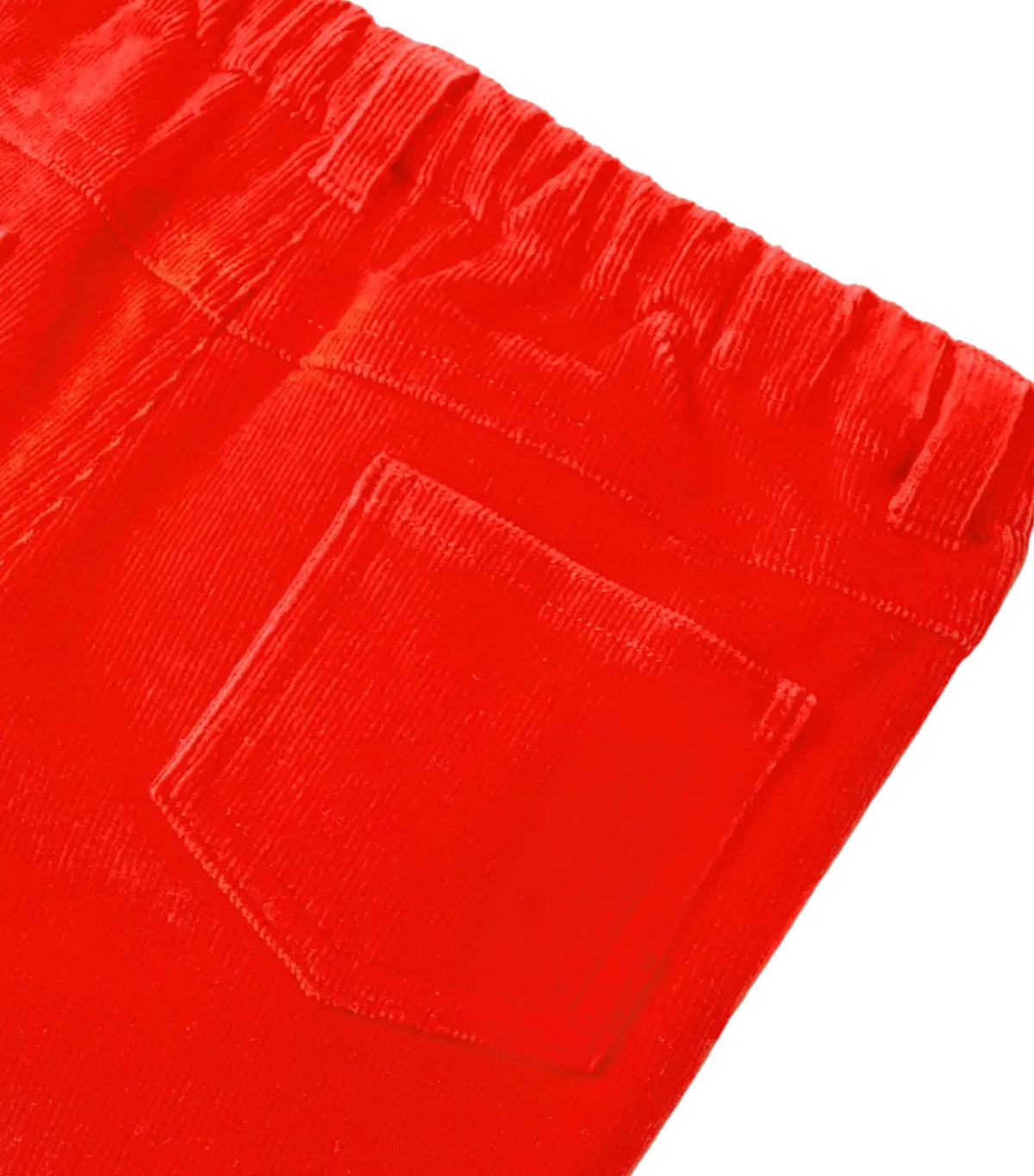 Pinede Pants Orange