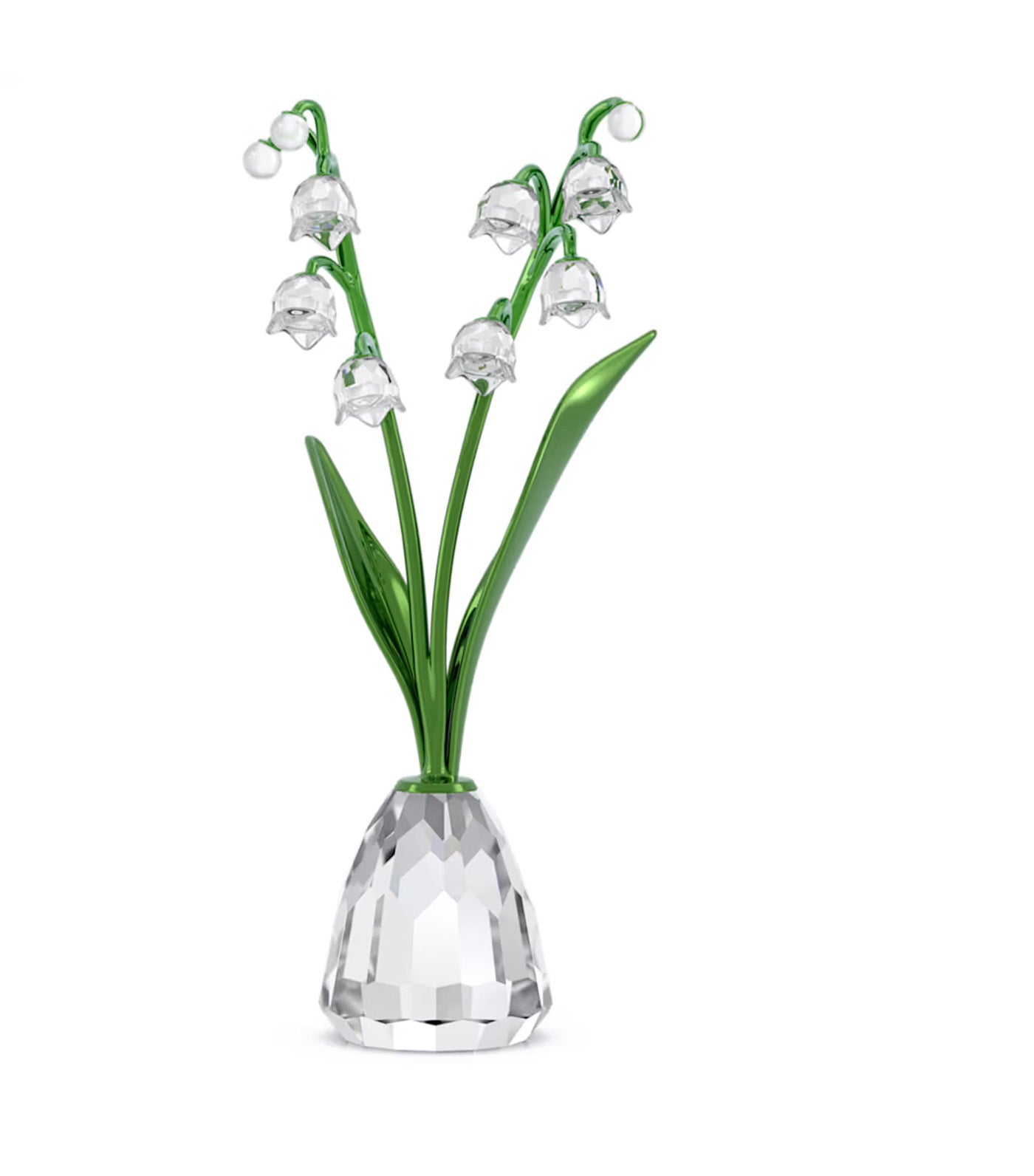 Florere Lily of the Valley