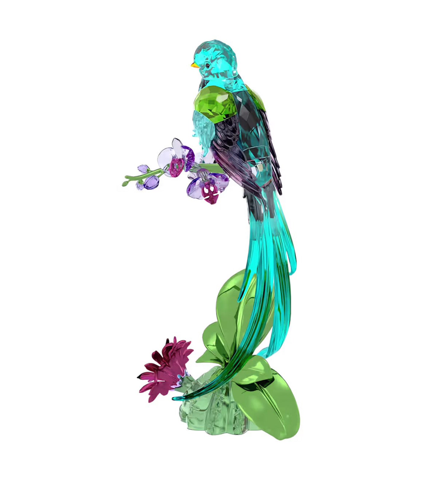 Idyllia Quetzal and Orchid
