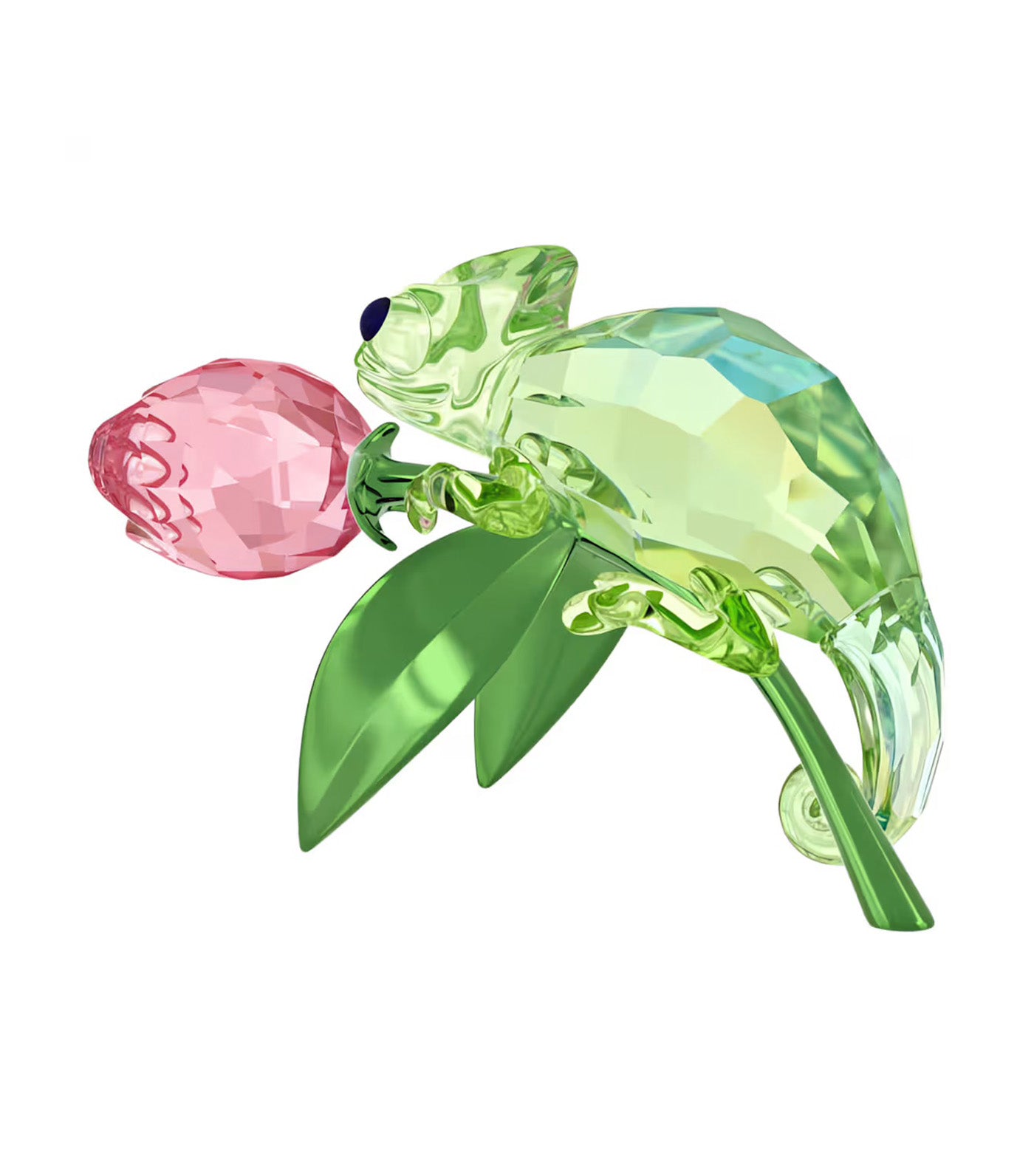 Idyllia Chameleon and Tulip