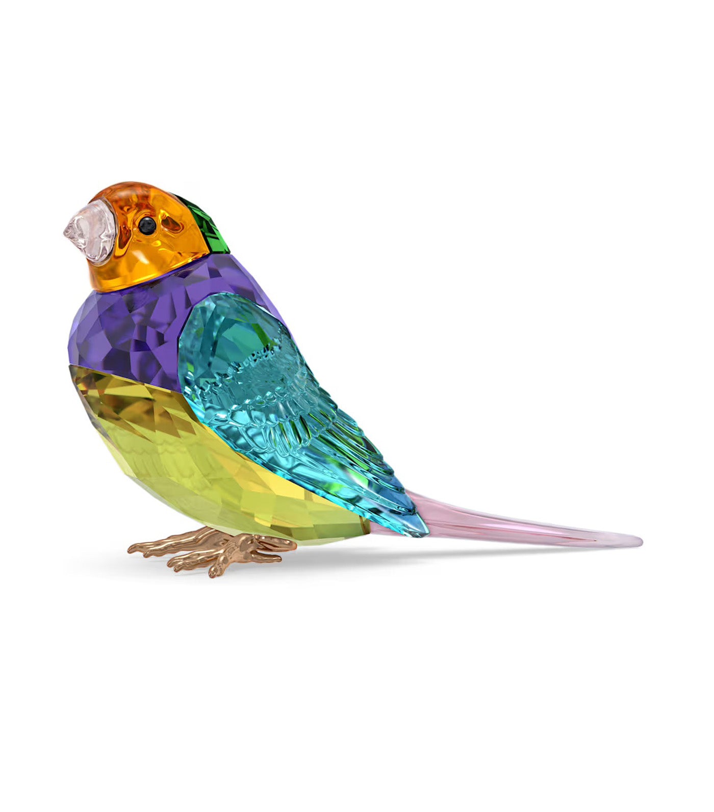 Idyllia SCS Gouldian Finch