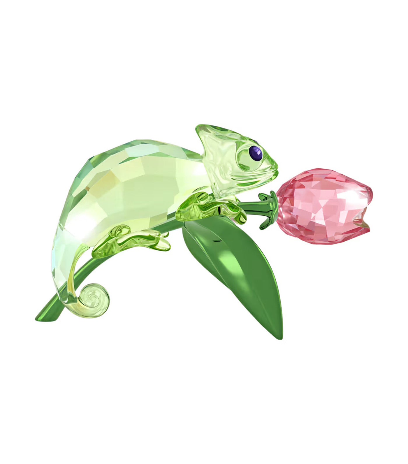 Idyllia Chameleon and Tulip
