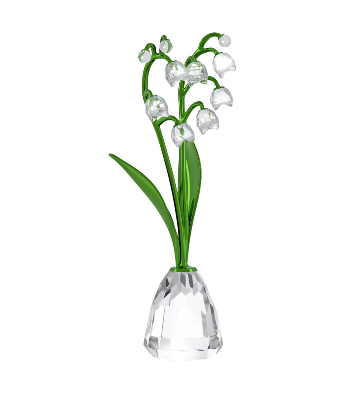 Florere Lily of the Valley