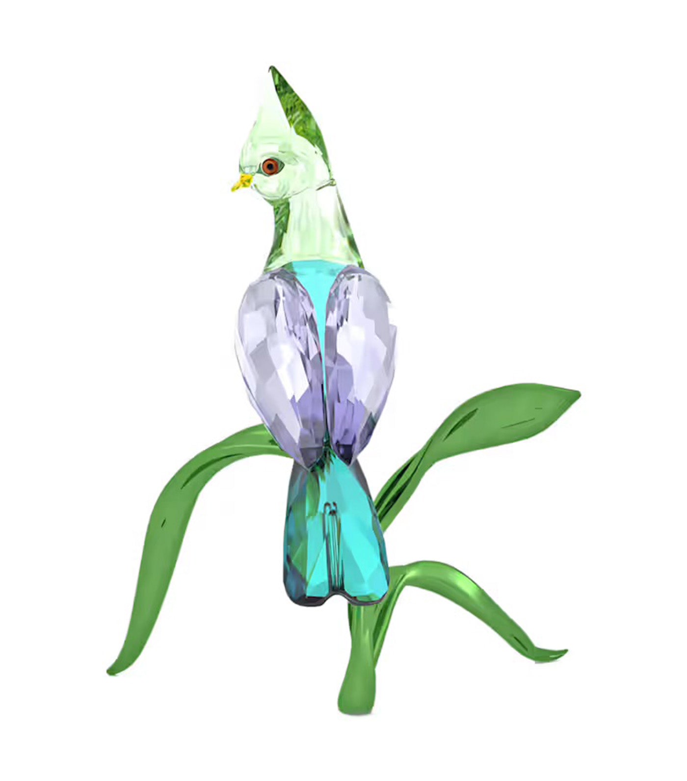 Idyllia Green Turaco
