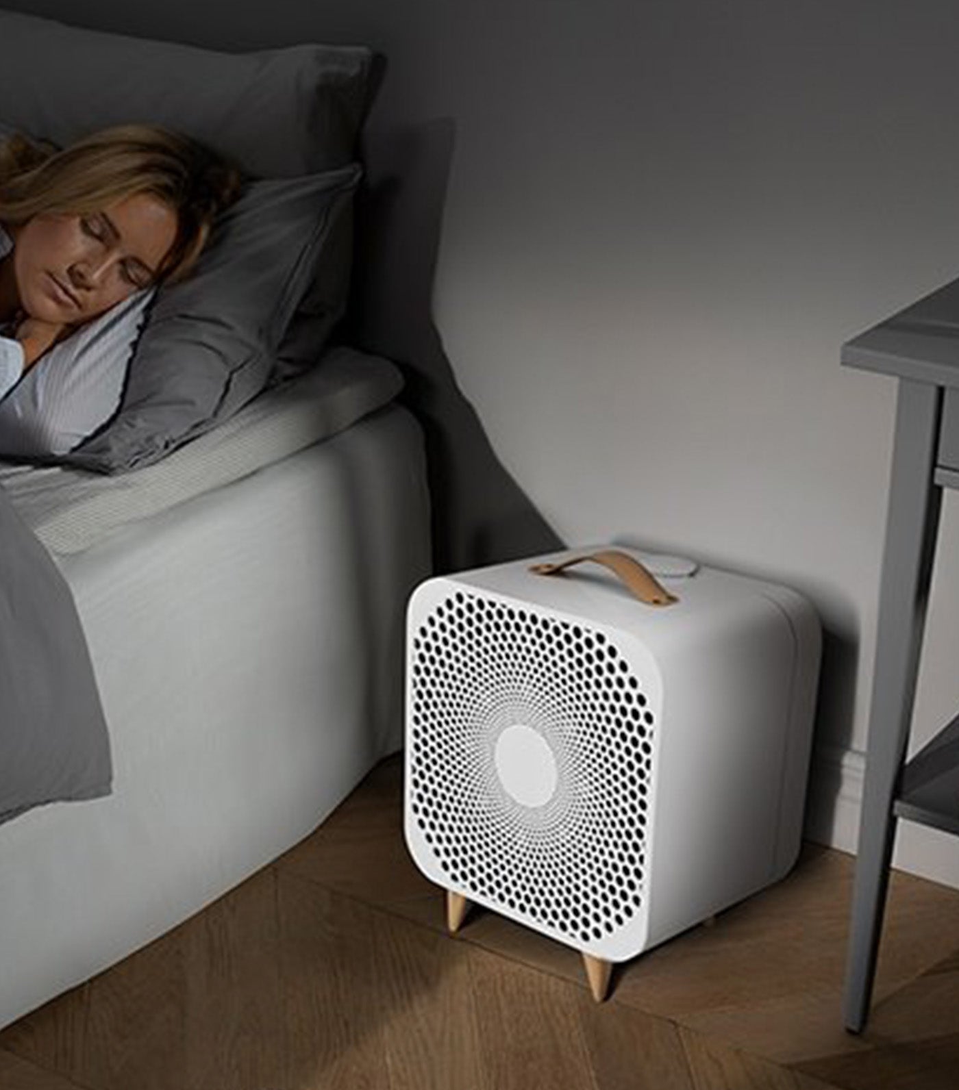 Blueair Pure Fan Auto | Rustan's