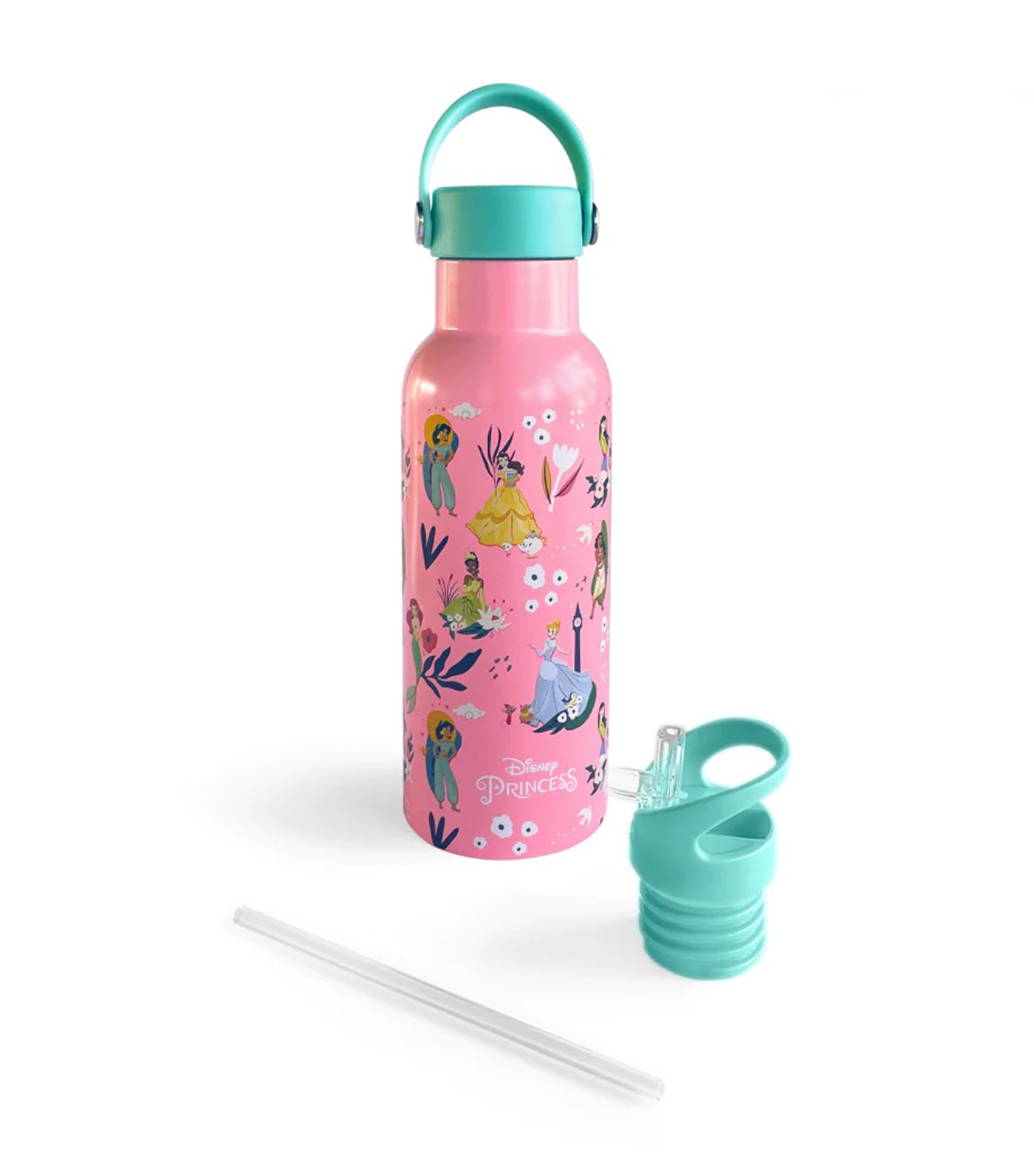 Disney Insulated Water Bottle - Princess Core