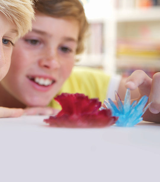 Crystal Growing Experimental Kit