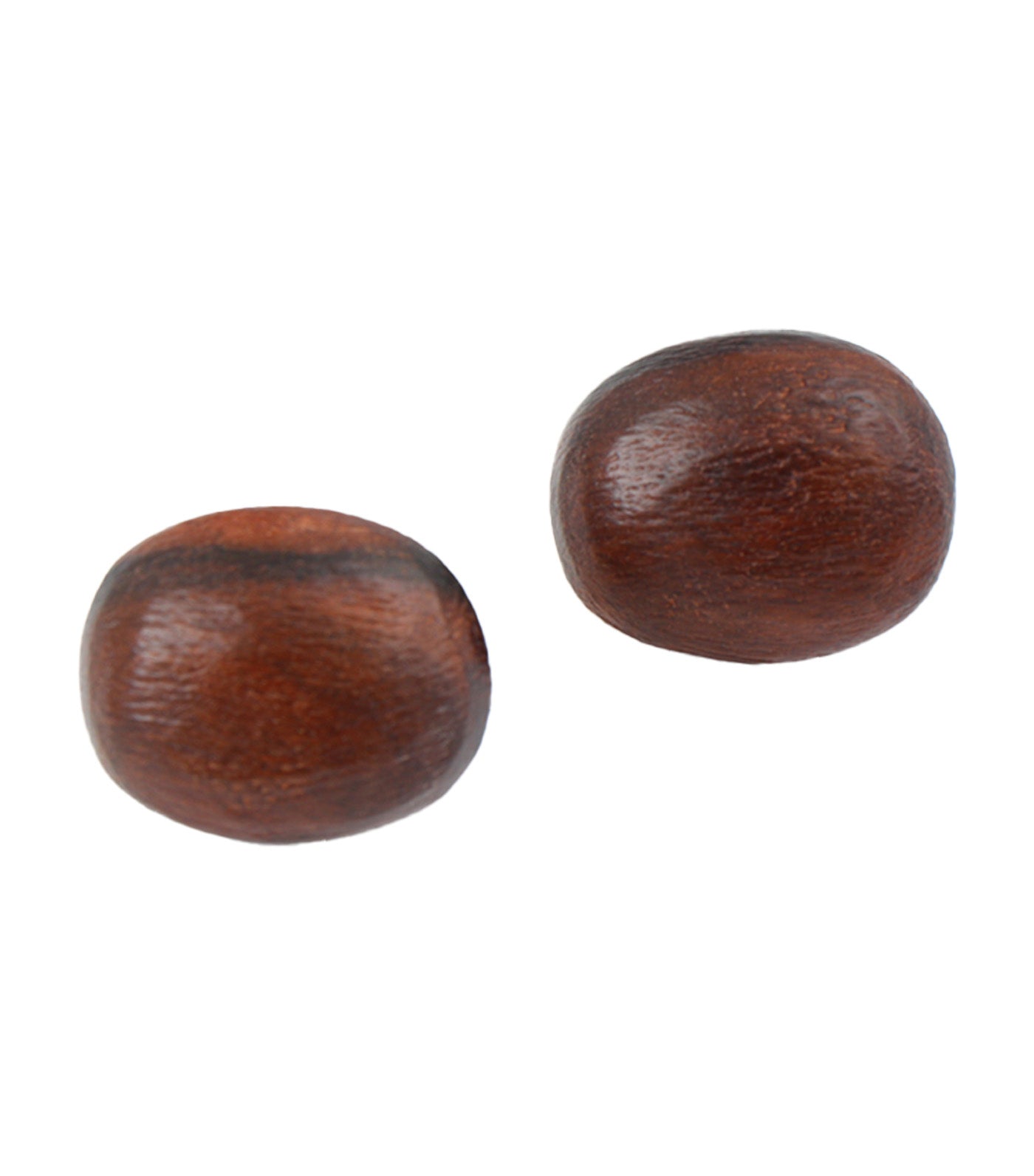 Kamagong Wood and Steel Brass Earrings