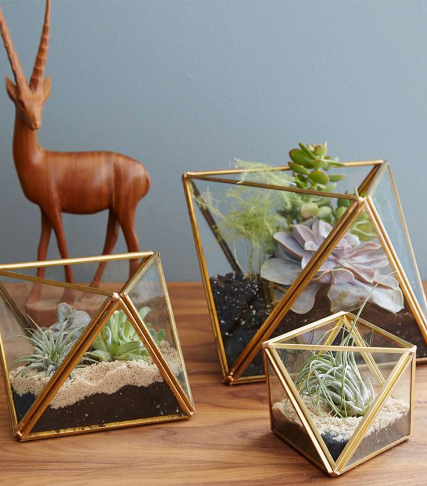west elm glass and metal faceted terrariums
