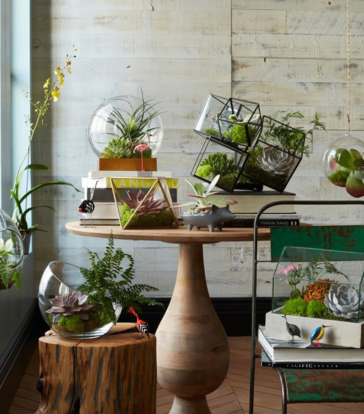 west elm glass and metal faceted terrariums