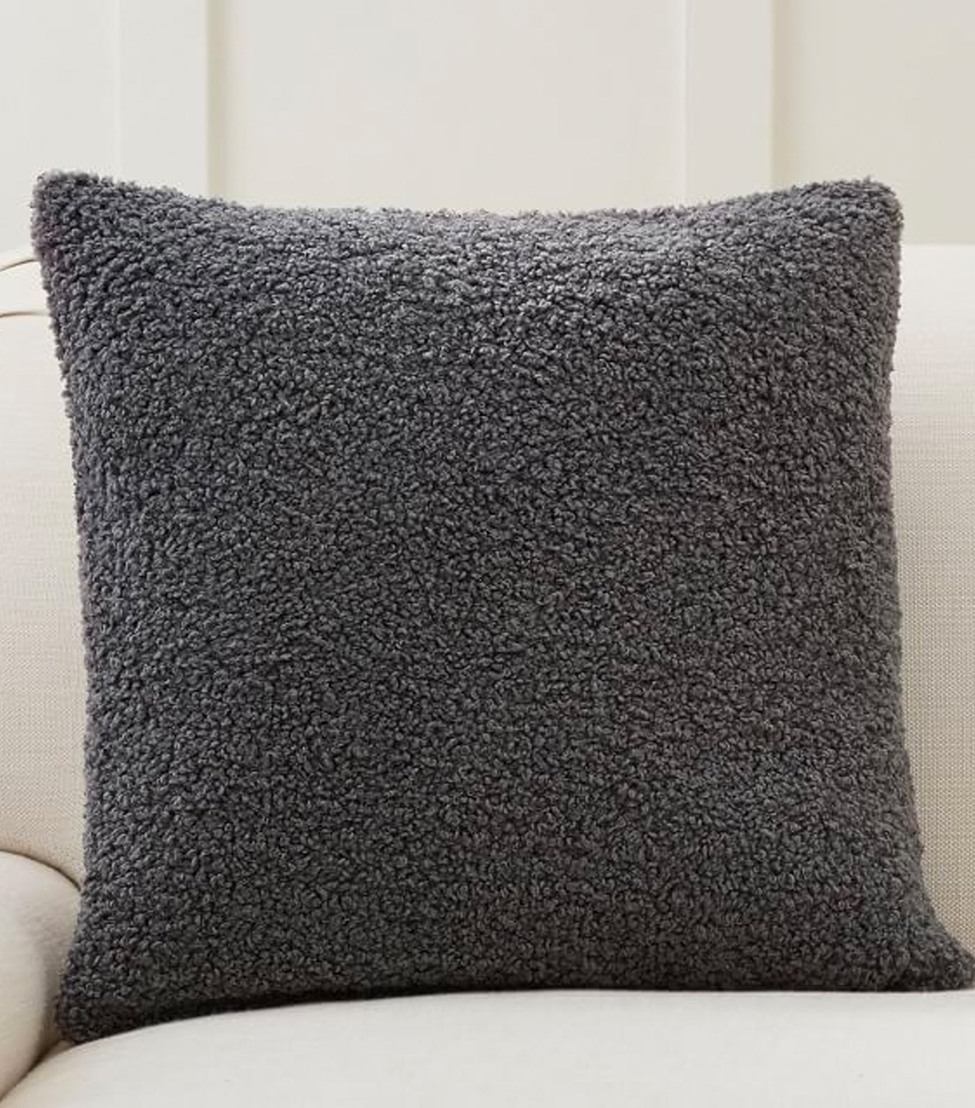 Pottery Barn Cozy Teddy Faux Fur Pillow Cover