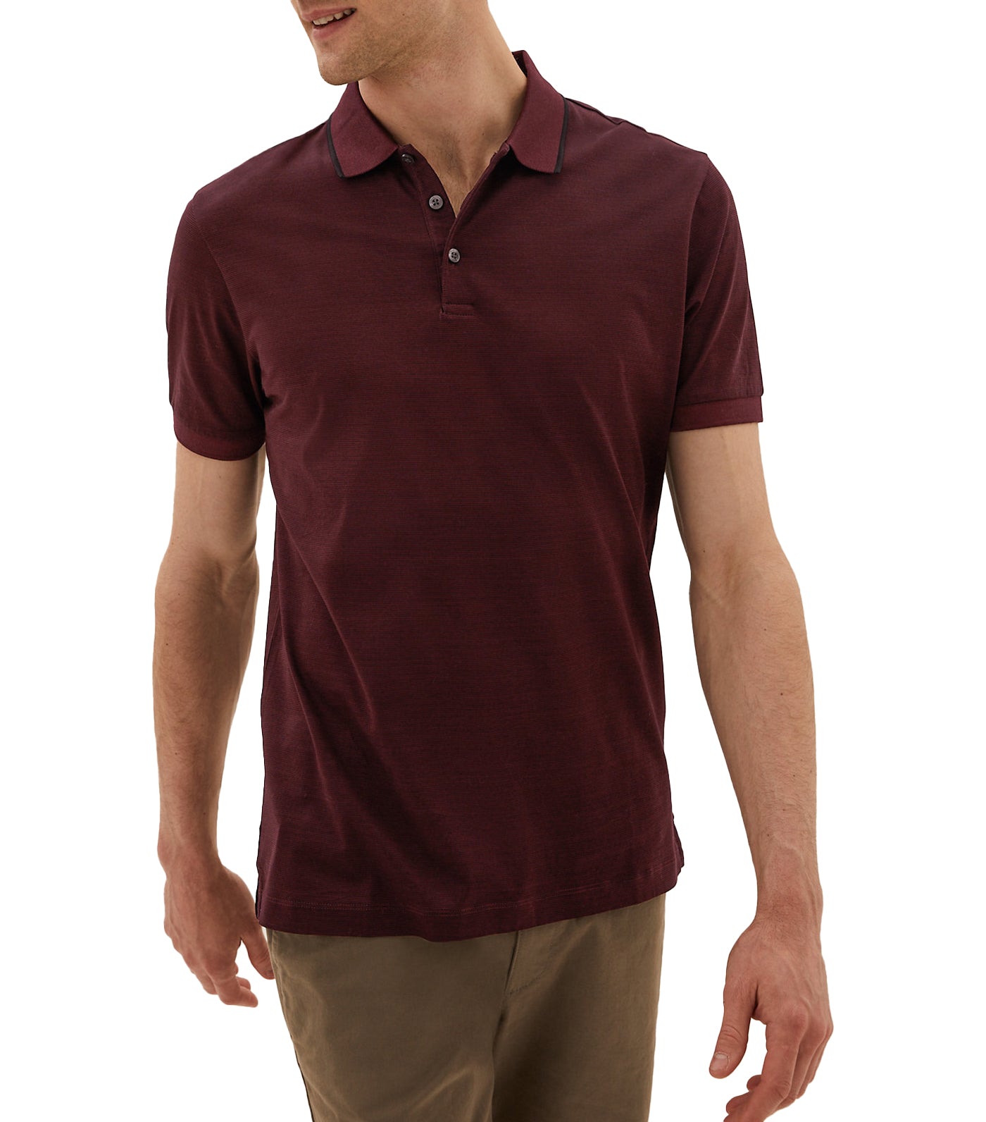 Premium Cotton Striped Polo Shirt Berry