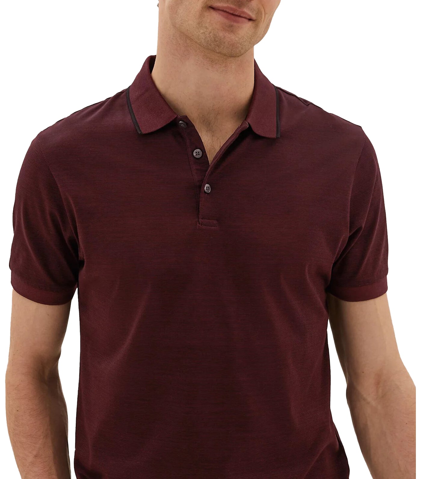 Premium Cotton Striped Polo Shirt Berry