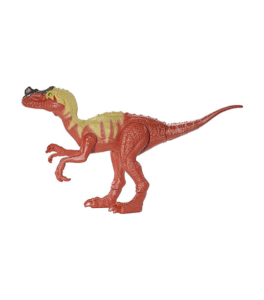 Proceratosaurus Dino