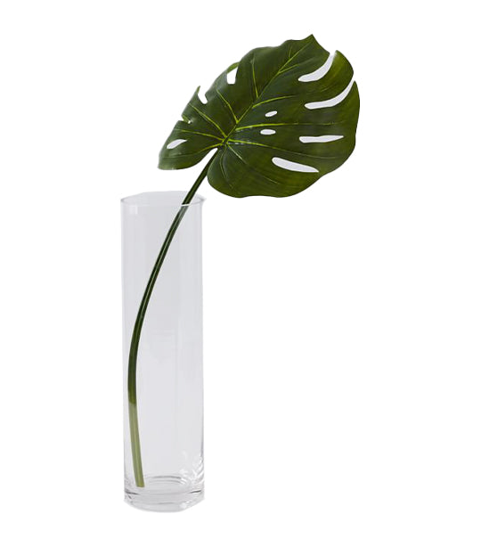 west elm Monstera Leaf