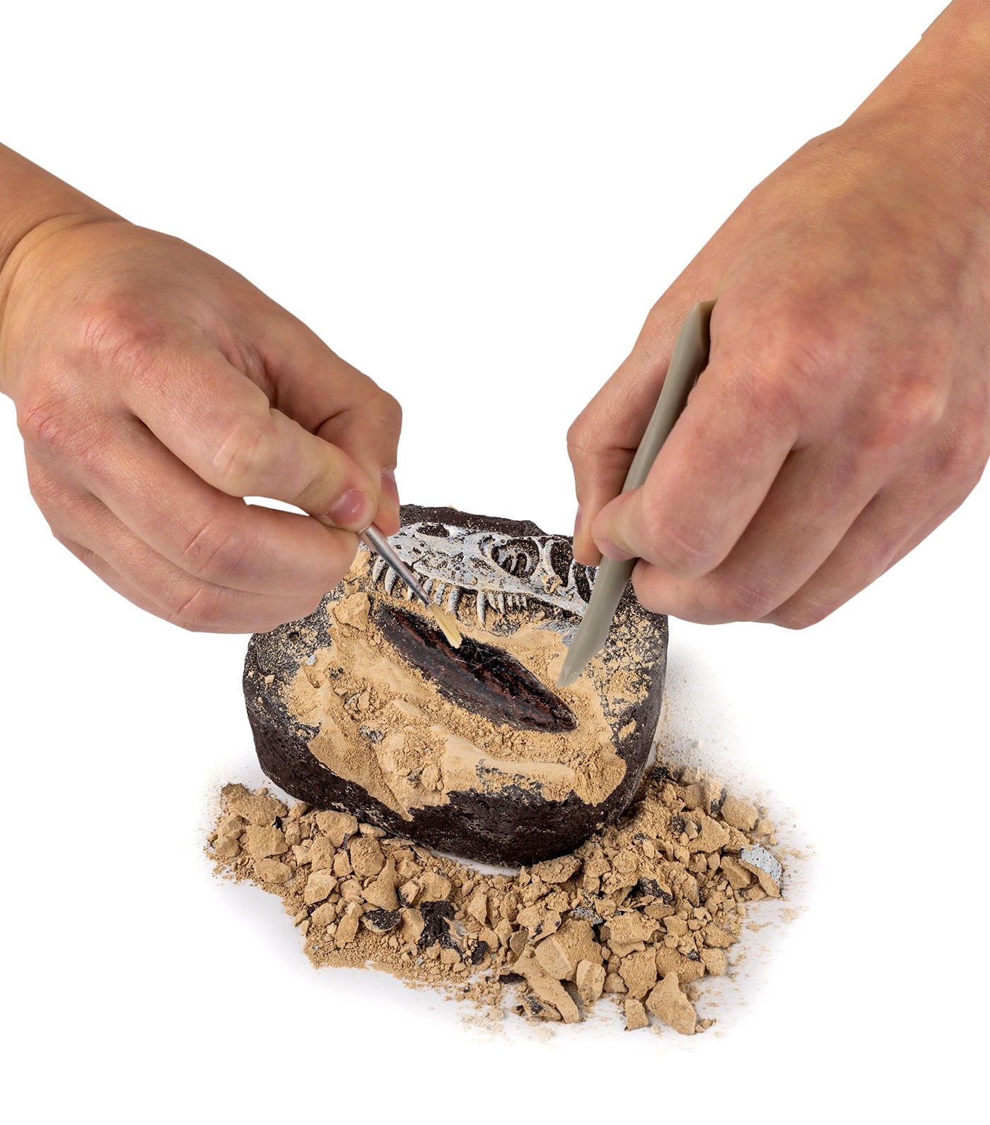 Dino Fossil Dig Kit