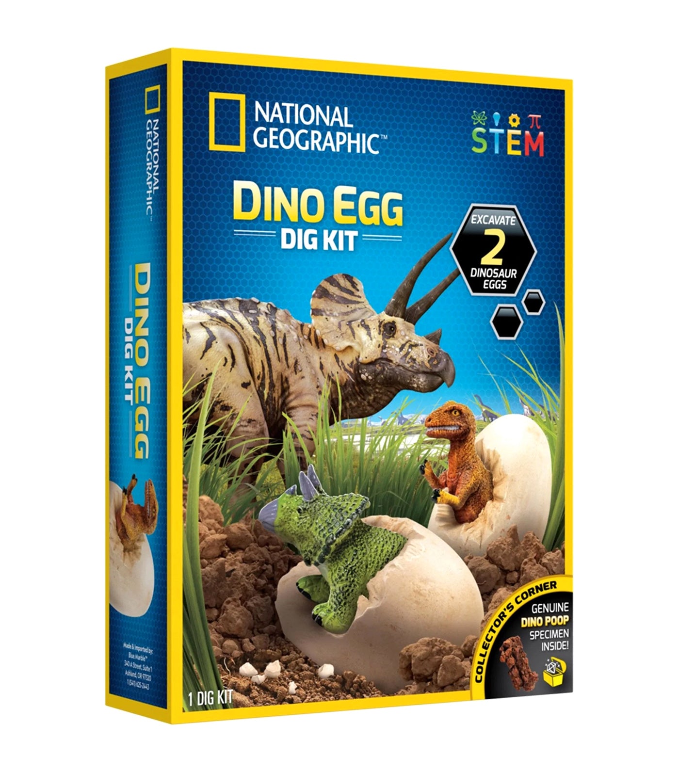 Dino Egg Dig Kit