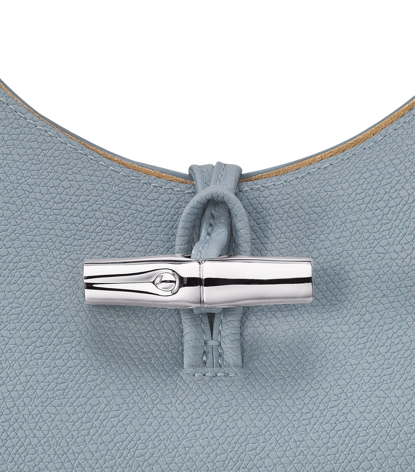 Longchamp `roseau Galon` Medium Handbag In Blue