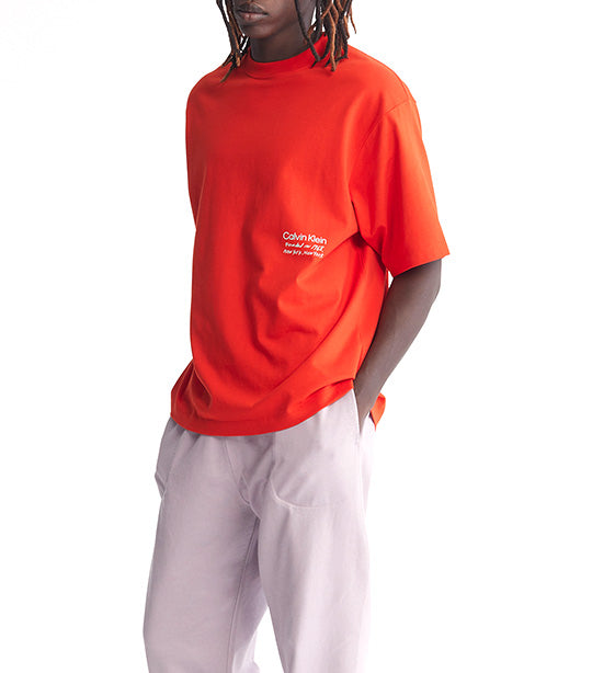 Standards Flyer Graphic T-Shirt Desert Orange