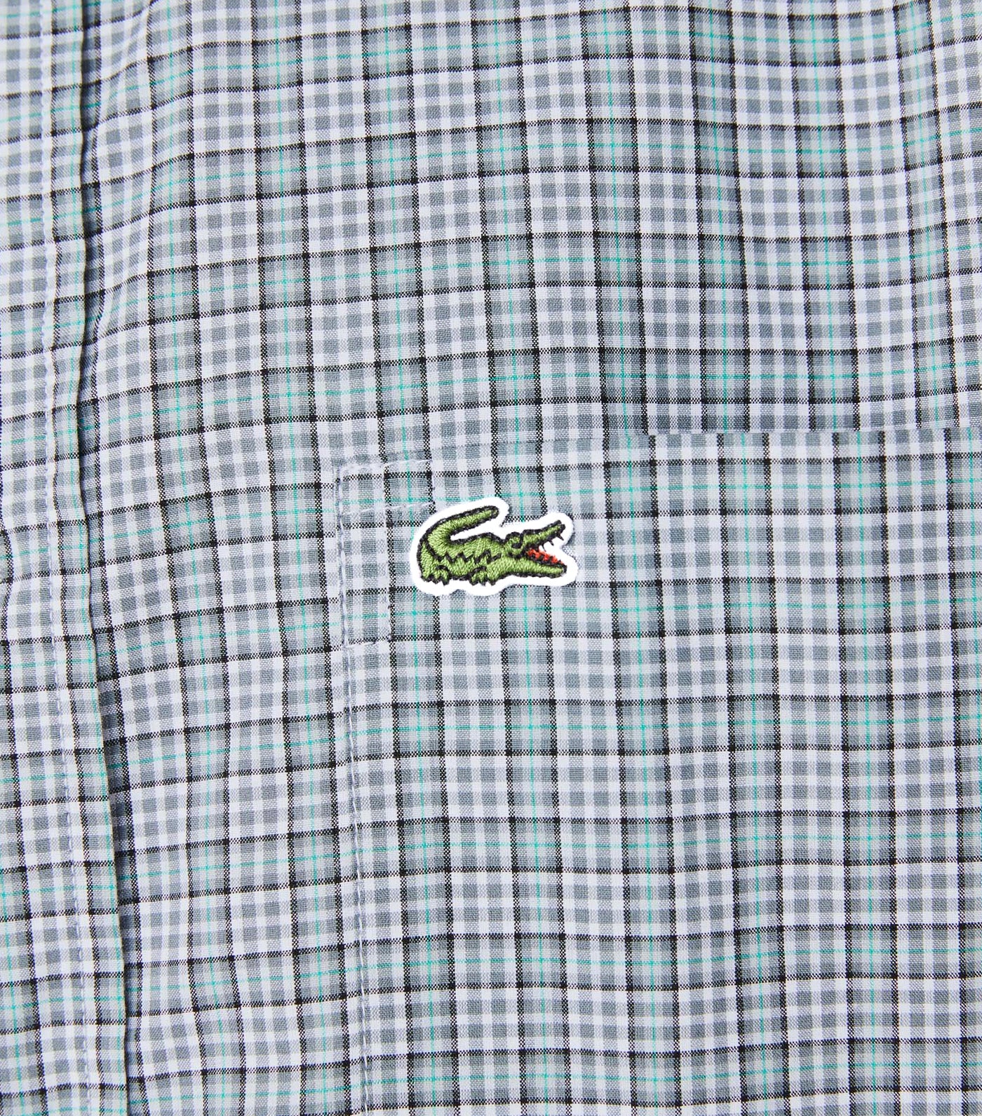 Men’s Pleated Back Checked Shirt White/Garden Green/Broom