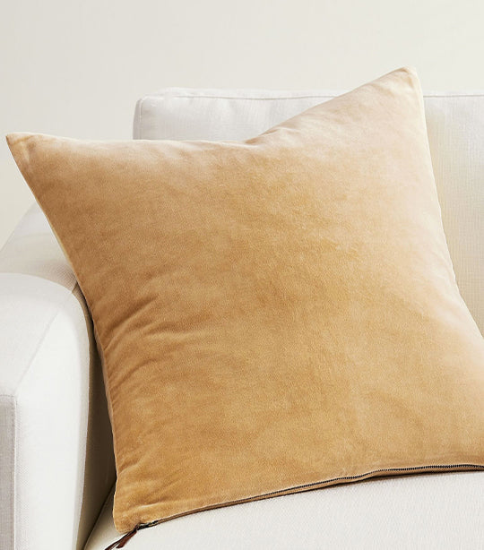 Pottery Barn Everywhere Velvet Pillow Cover