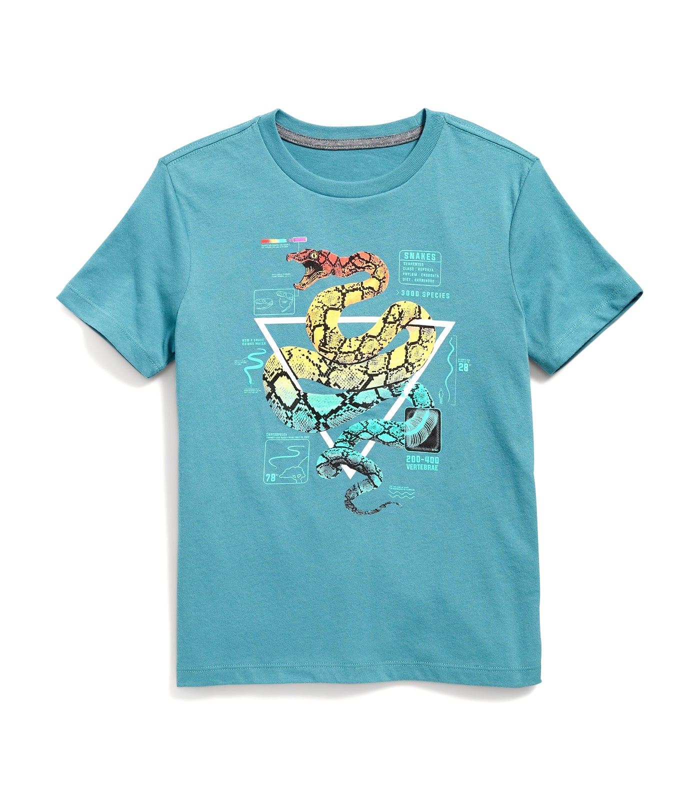 Graphic Crew-Neck T-Shirt for Boys - Tennessee Blue