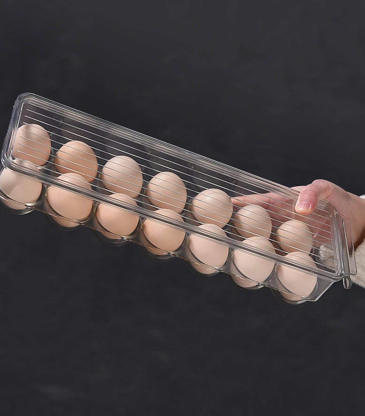 Homeworx Living Egg Tray Set