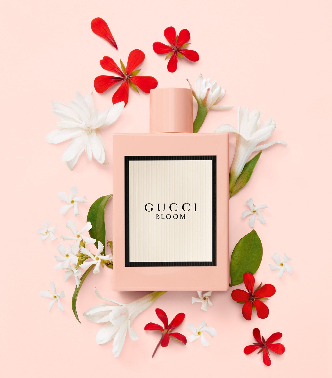 Gucci bloom collection Clearance