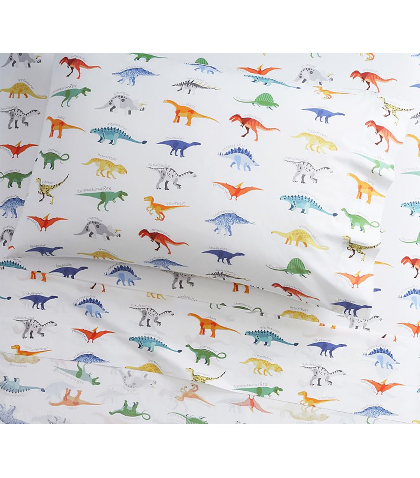 Organic dinosaur outlet sheets