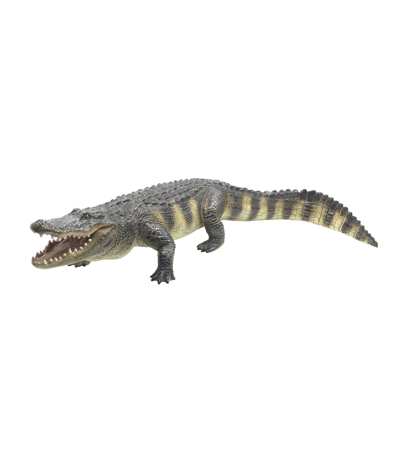 recur american alligator